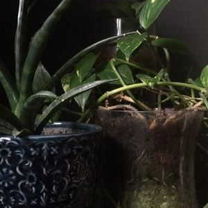 Meet your Posher, Mel